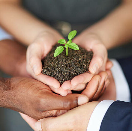 High angle shot of a young plant being held by three businesspeoplehttp://195.154.178.81/DATA/i_collage/pi/shoots/806464.jpg